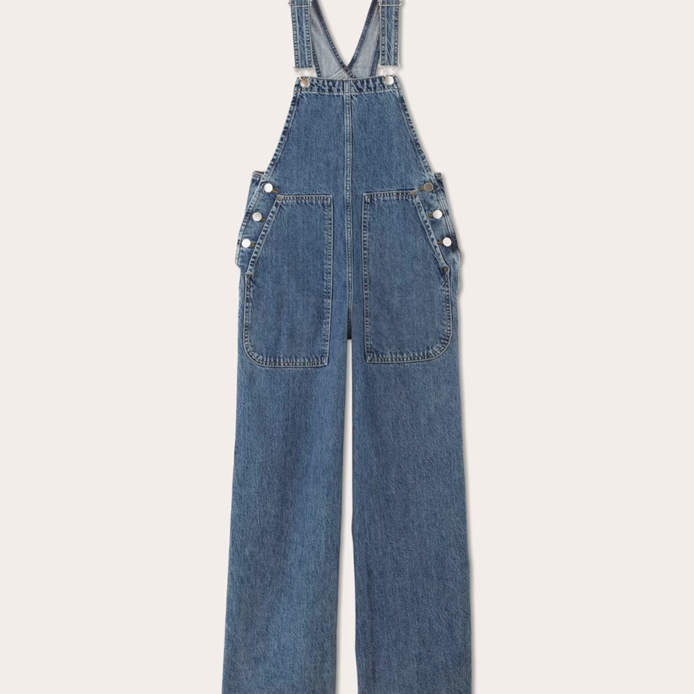 Everlane The Gardener Overall in indigo blue NWT